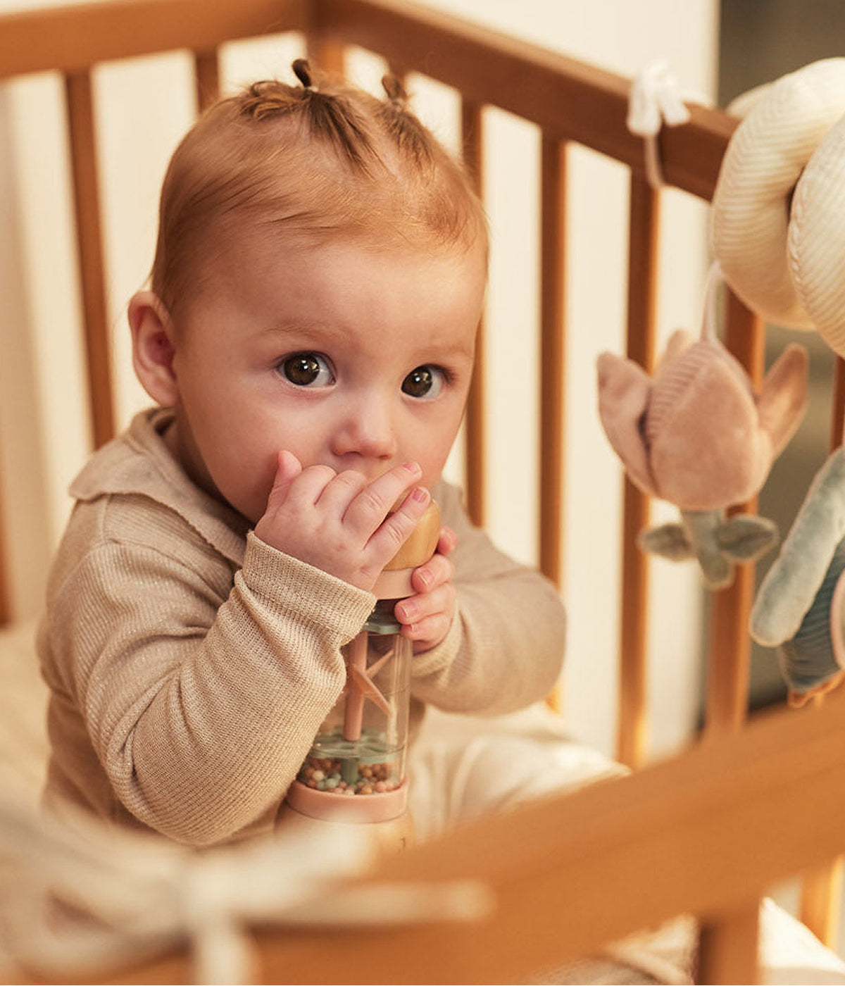 Chocalho de Chuva em Madeira Bebé Jollein Lovely Birds - Rosa